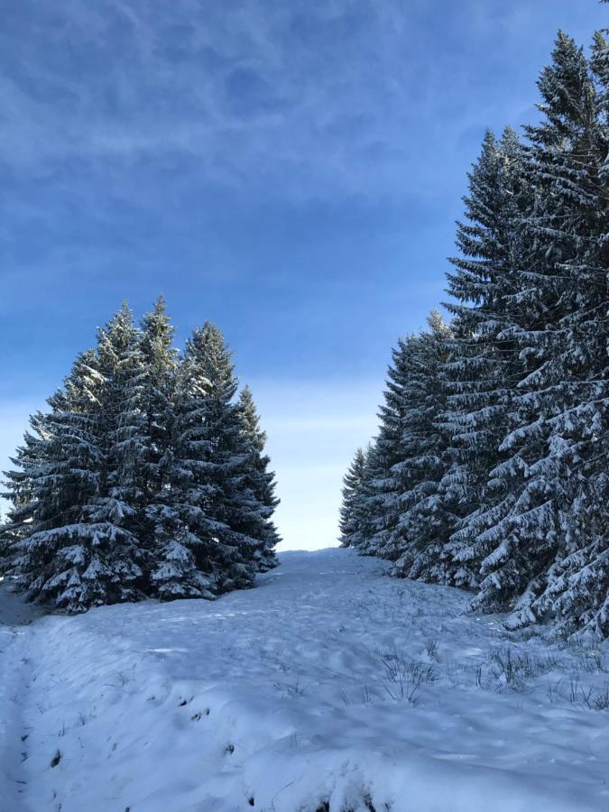Kleine Ferienwohnung Am Rande Der Wildnis Sibratsgfäll Екстериор снимка
