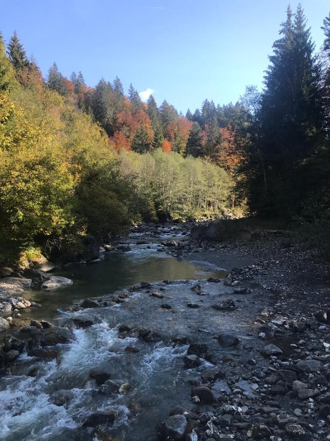 Kleine Ferienwohnung Am Rande Der Wildnis Sibratsgfäll Екстериор снимка